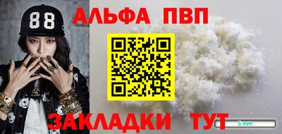 СК Сланцы