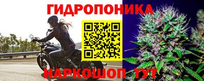 СК Сланцы