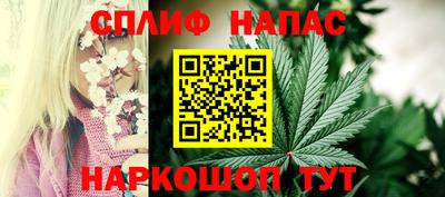 СК Сланцы