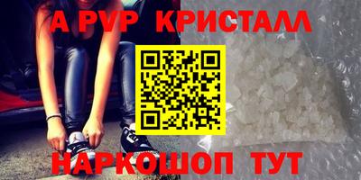 СК Сланцы
