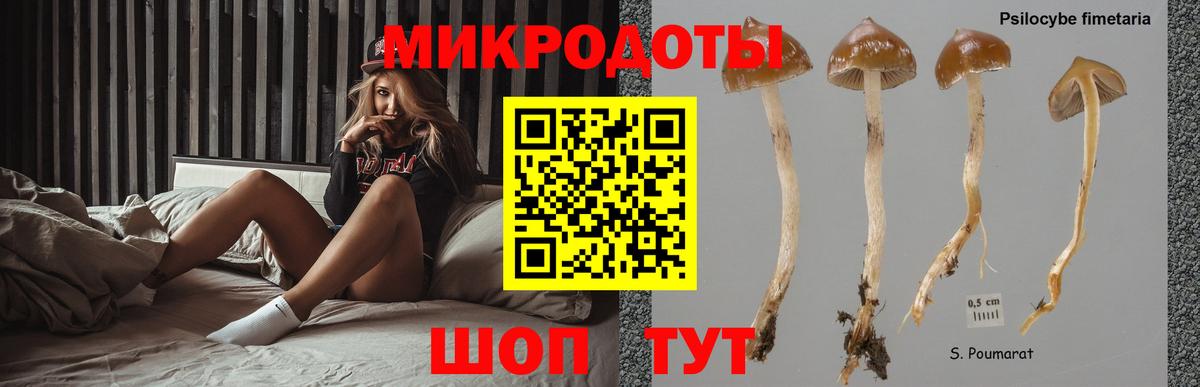 Галлюциногенные грибы GOLDEN TEACHER Ахтубинск